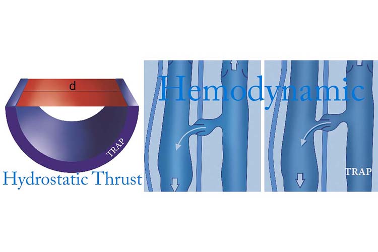 Hemodynamic